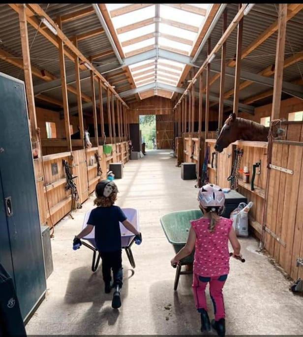 Ferienwohnung Beim Pferdehof Neuenstein  Zewnętrze zdjęcie