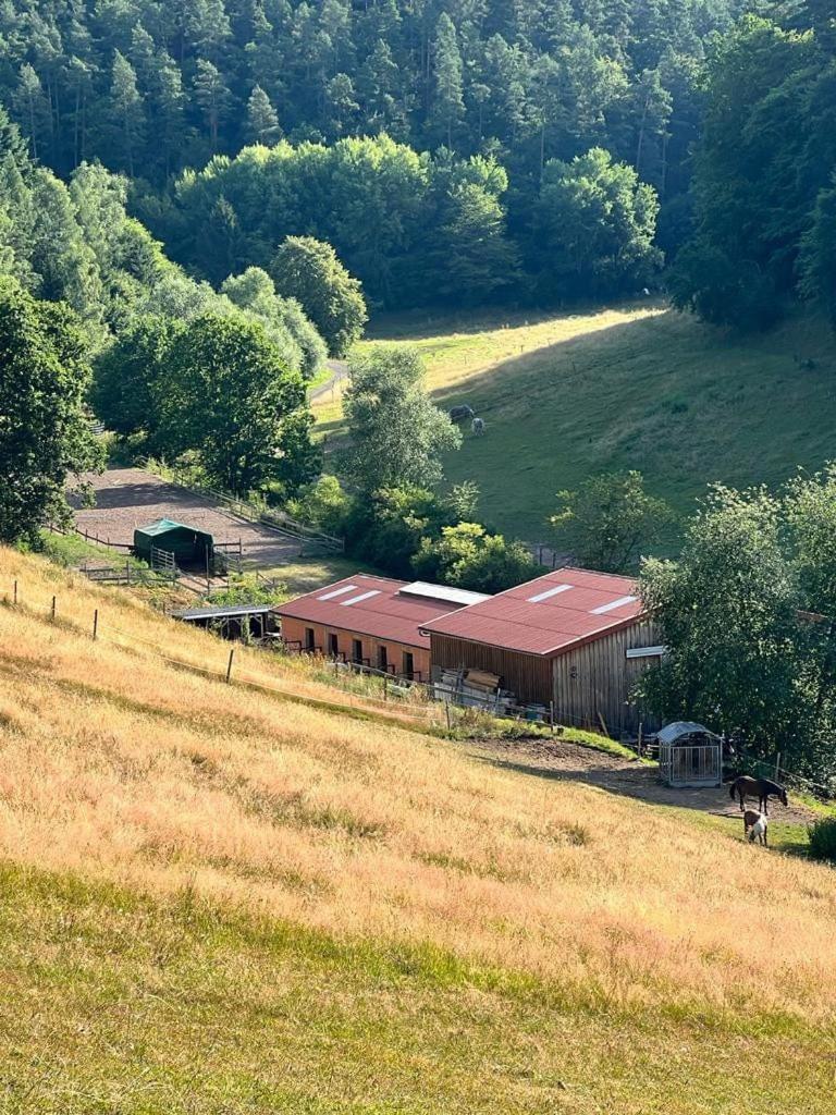 Ferienwohnung Beim Pferdehof Neuenstein  Zewnętrze zdjęcie